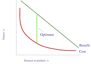 Our optimal mobbing model